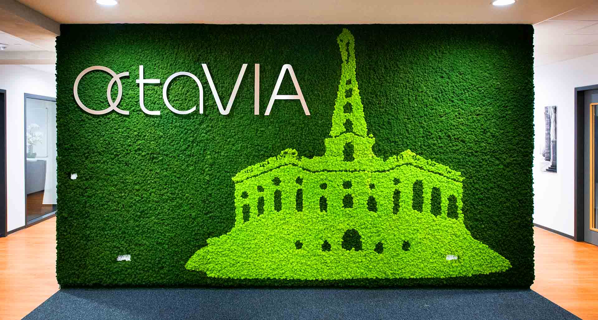 Pared de musgo Islandes con logo Octavia