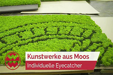 Welt der Wunder Vorschaubild Mooskunstwerke