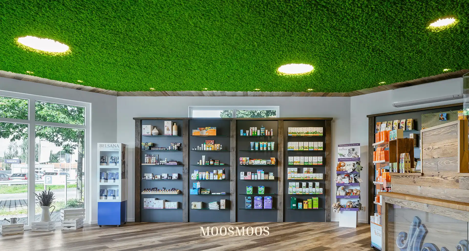 MOOSMOOS Deckenverkleidung / Mooswand an der Decke in der Apotheke mit Islandmoos