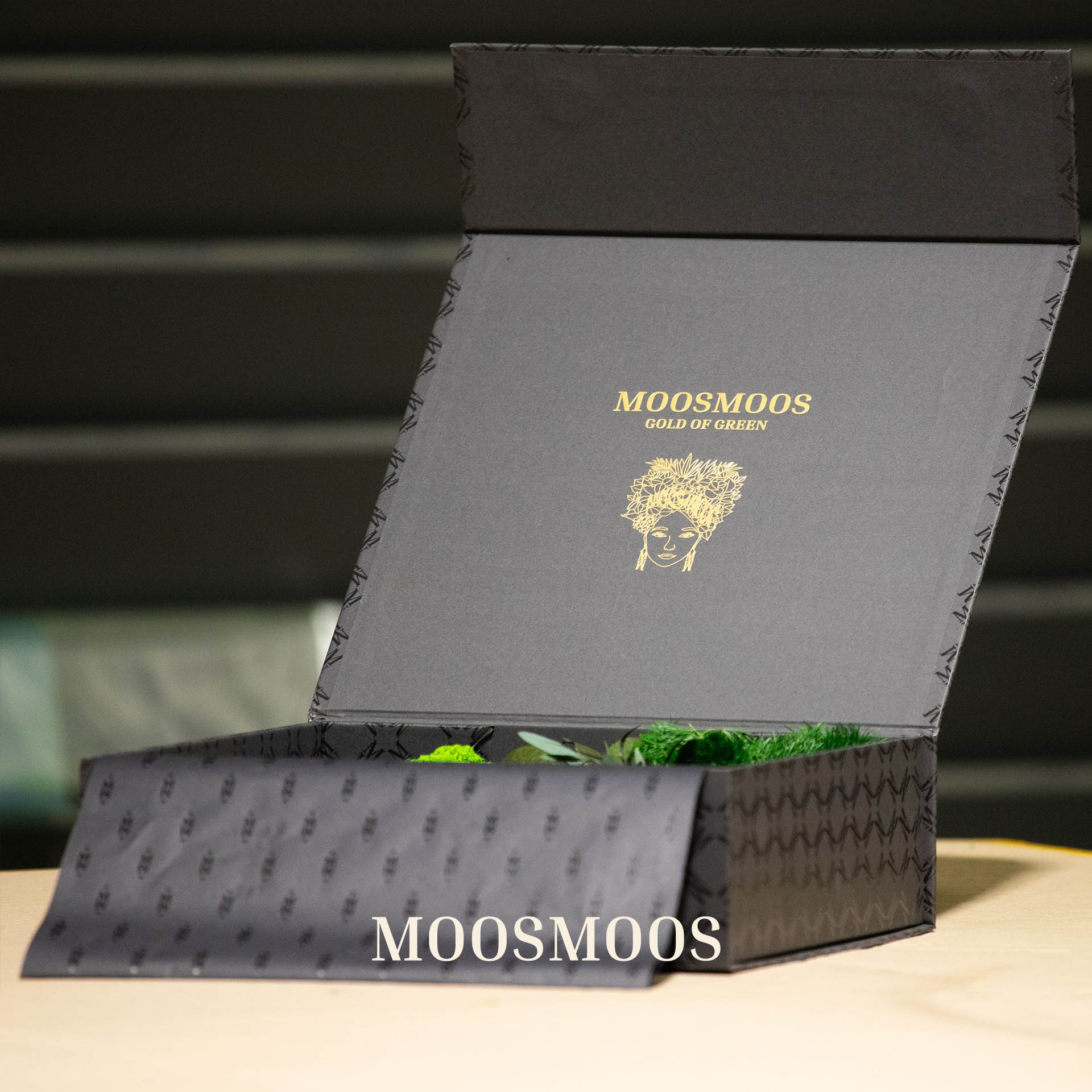 MOOSMOOS Musterbox , mit Islandmoos Muster, Ballenmoos Muster & Dschungelpflanzen Muster